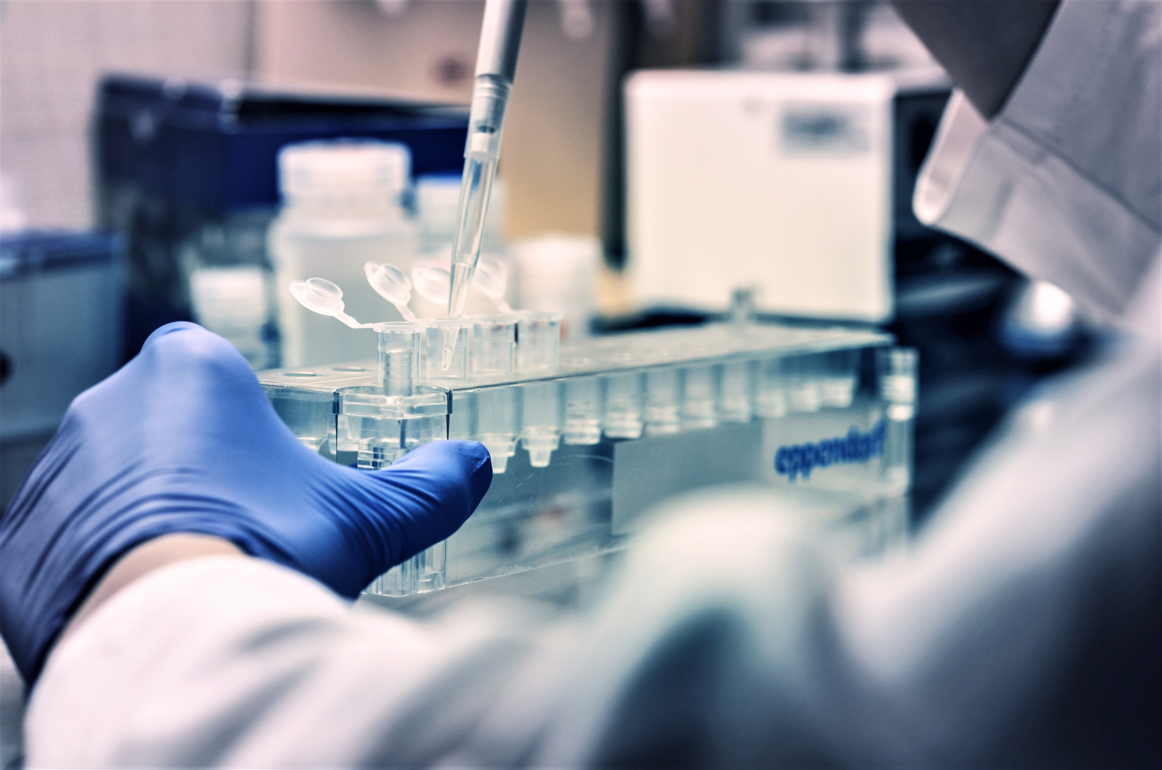 Gloved hands use a pipette beside sample tubes in an archival laboratory photograph.