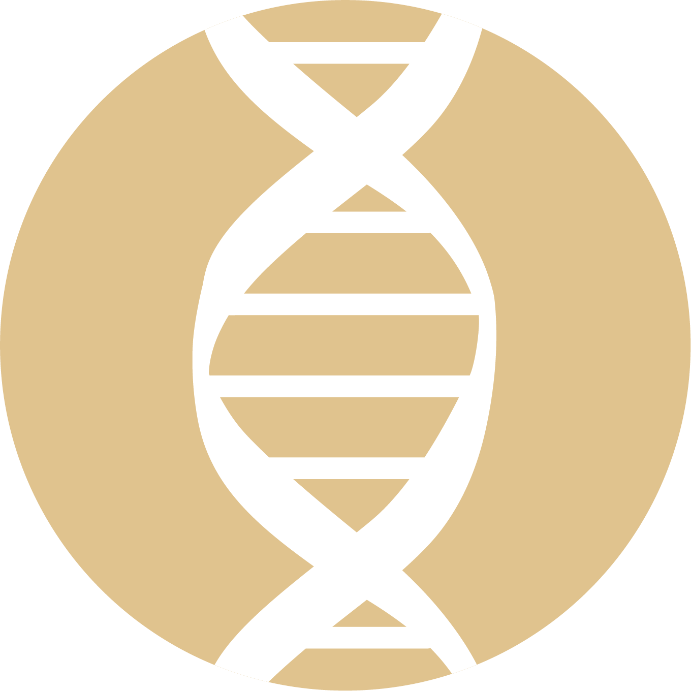 White DNA double helix inside a beige circle.